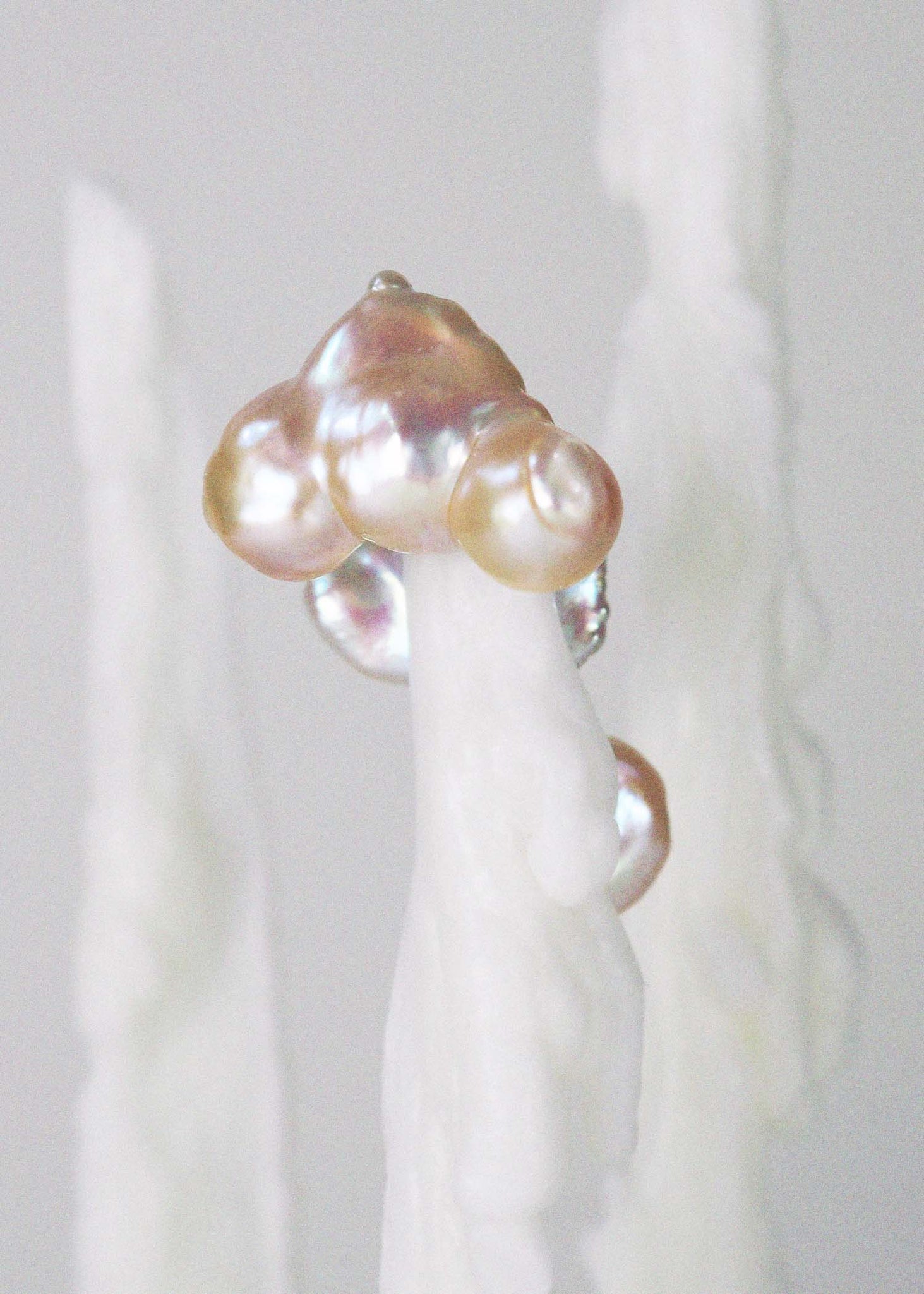 Pearl Swelling Stud by Yasmin Everley